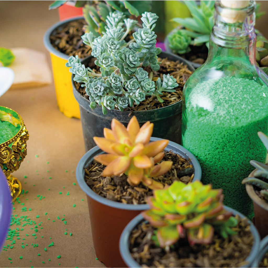 Pequeños Jardineros