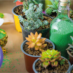 Pequeños Jardineros