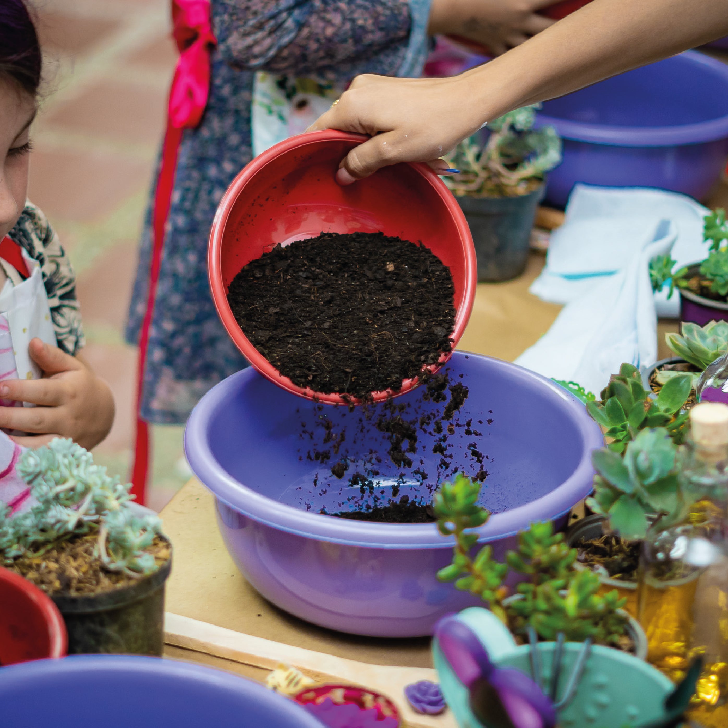 Pequeños Jardineros
