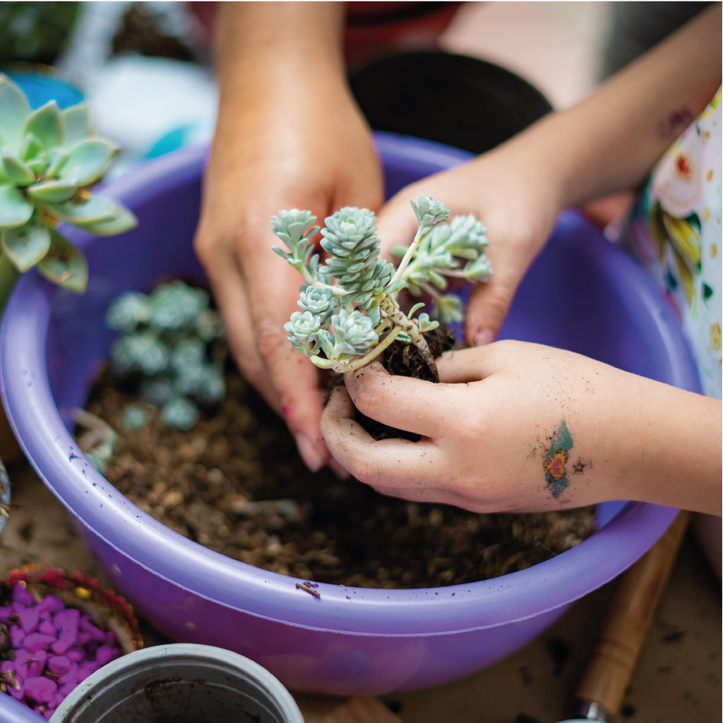 Pequeños Jardineros