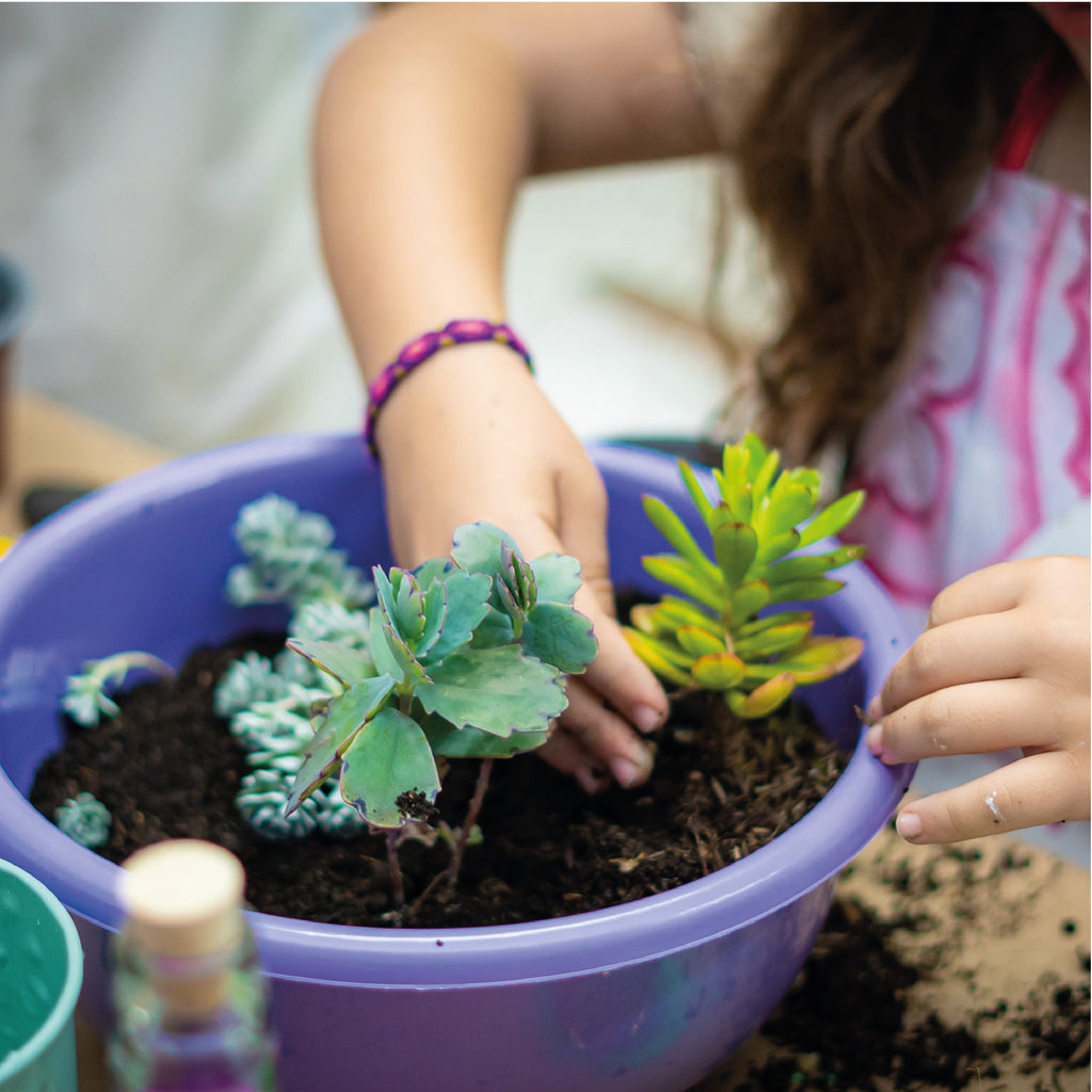 Pequeños Jardineros