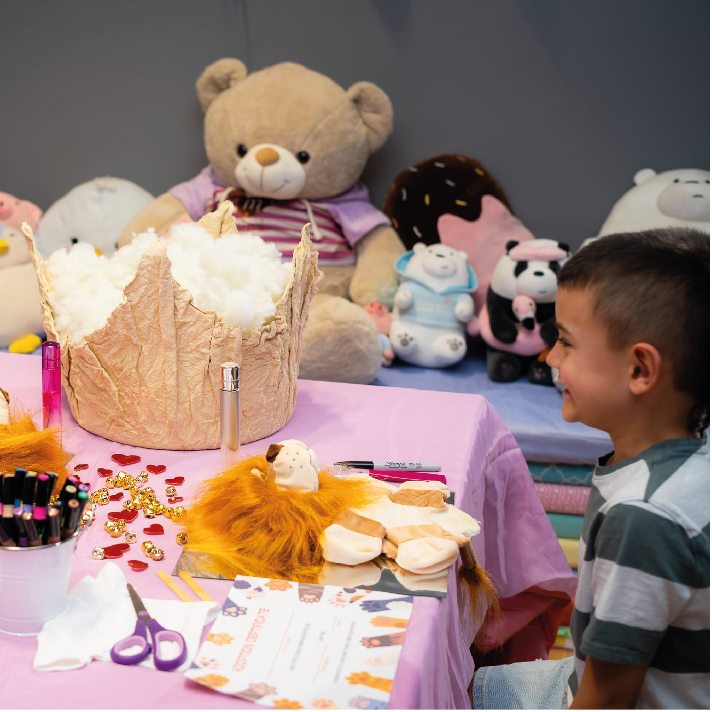 Arma tu Peluche Imagen principal del producto